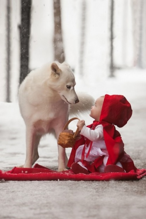 Red-Riding-Hood-Fairy-Tale-Baby-thumb-600x900-33519